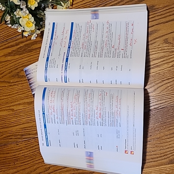 The Language of Medicine College Book - Picture 4 of 4